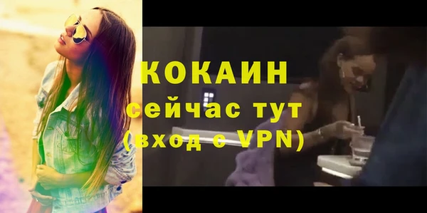 шишки Бородино