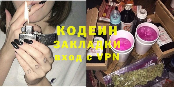 шишки Бородино