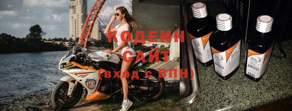 шишки Бородино