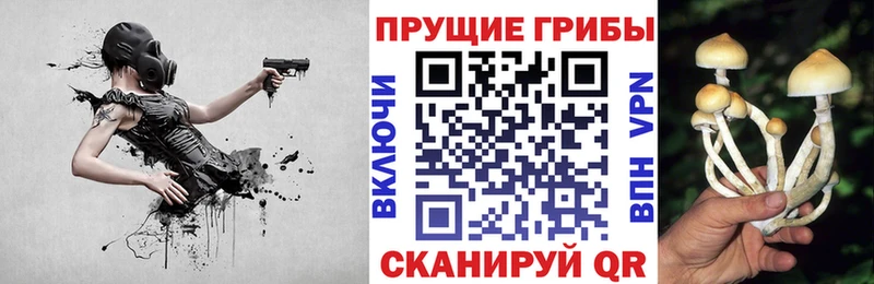 Галлюциногенные грибы Cubensis Махачкала