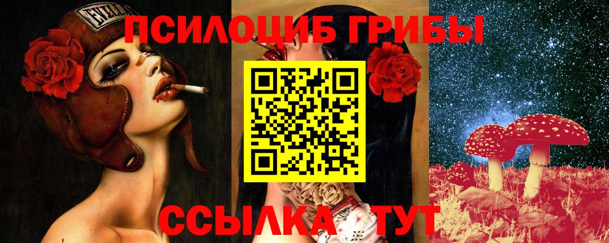 Галлюциногенные грибы Psilocybe Махачкала
