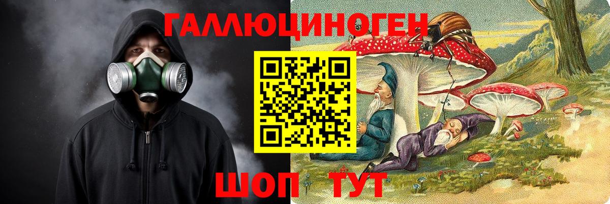Псилоцибиновые грибы GOLDEN TEACHER  Вход с VPN  Псилоцибиновые грибы Magic Shrooms  Махачкала 